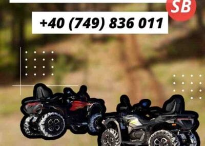 grafica flyere sibiu