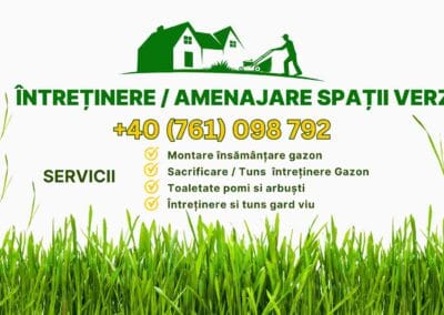 Grafica pentru masini